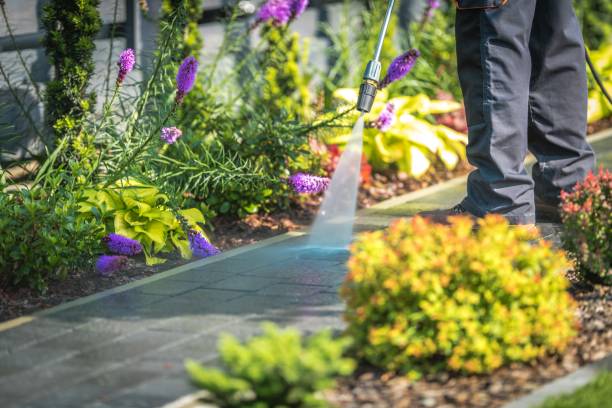 Best Gutter Cleaning  in Tequesta, FL